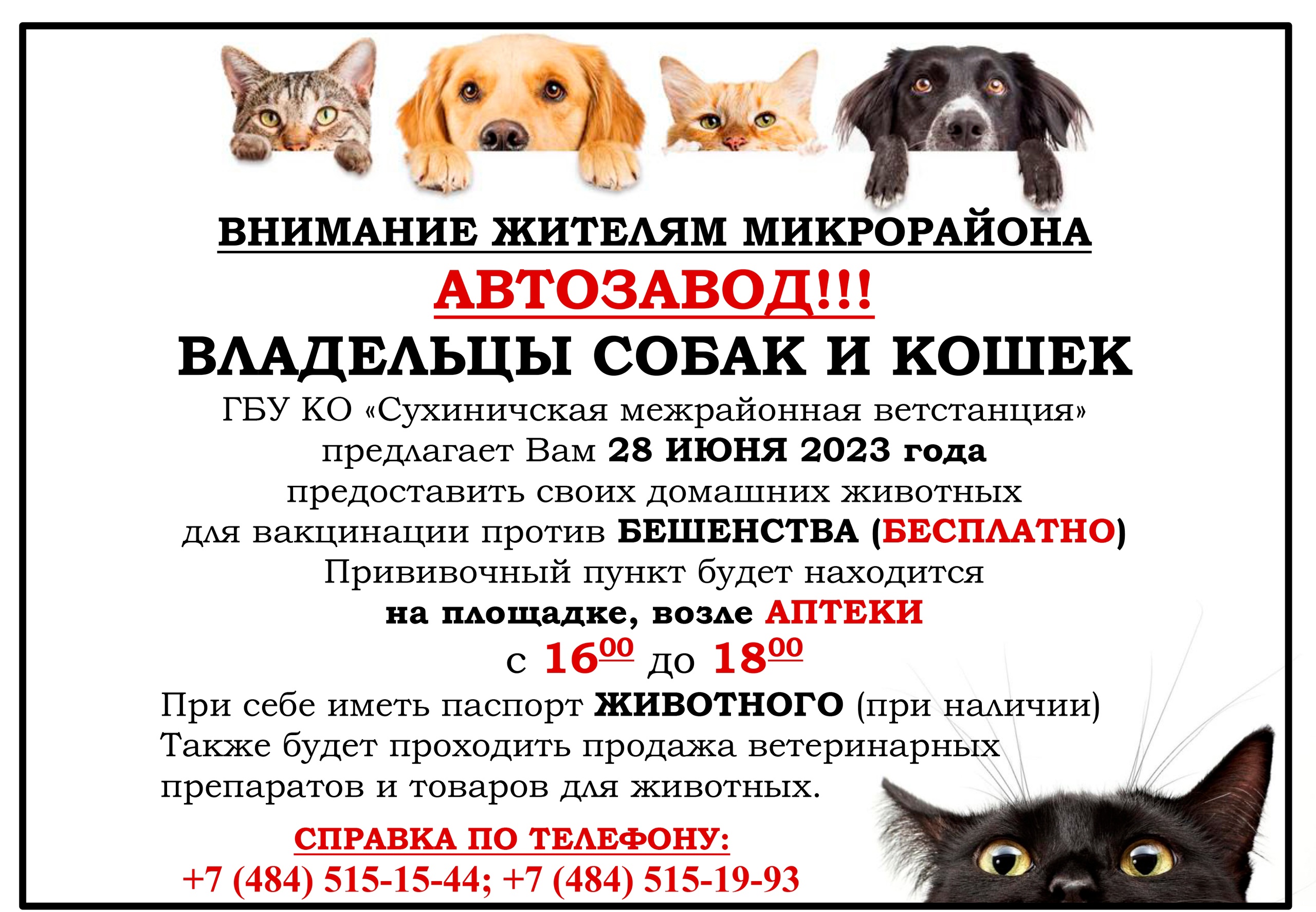 Бесплатная вакцинация кошек в москве 2024. Пункт вакцинации животных. Всемирный день бешенства 28 сентября. Зачем нужно вакцинировать кошек и собак.